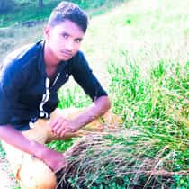 Shah_Lan