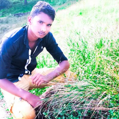 Shah_Lan