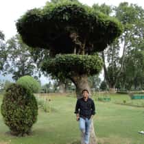 Mohit Rao