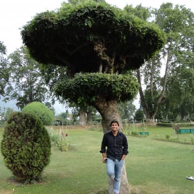 Mohit Rao
