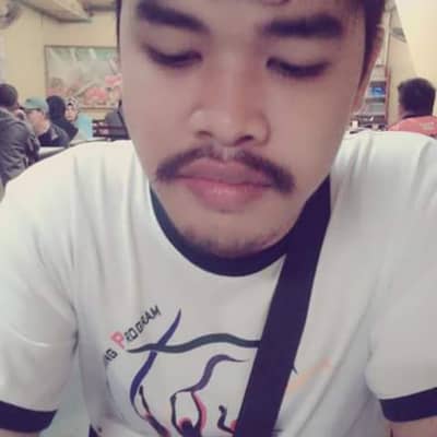 Ladimir