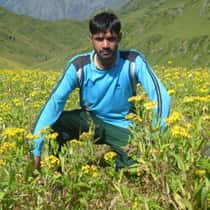 rashad abbasi