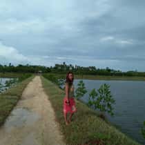 jellah rose