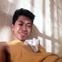 Brylle