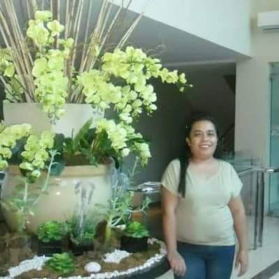 Luz