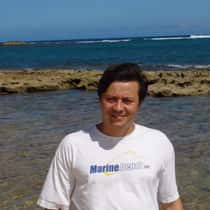 Matthew