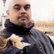 Koka