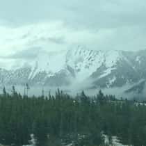 Montanabrad