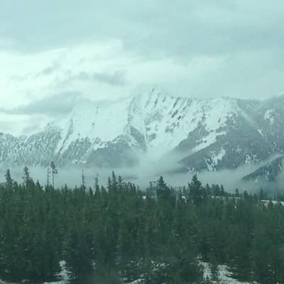 Montanabrad