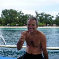 david
