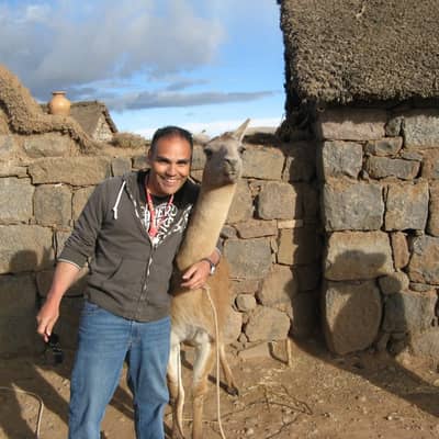 Golobos