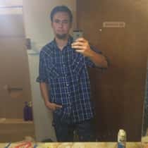 Colt