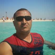 wael