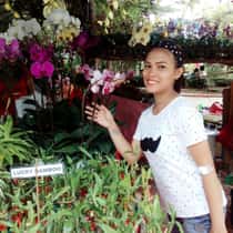 Manilyn