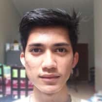 Bobibrian