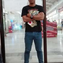 Vier
