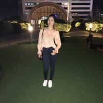 The alexis