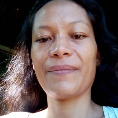 Hannalou cometa