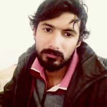 Hadi