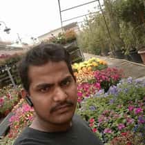 Pehad