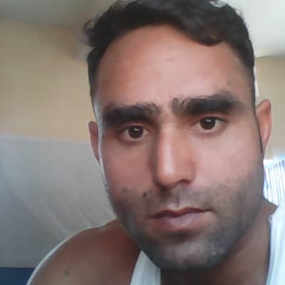 Raja raja