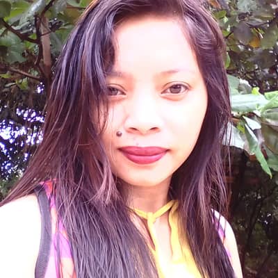Lovi
