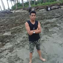 ariel