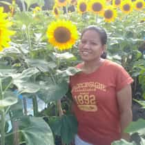 Cecile
