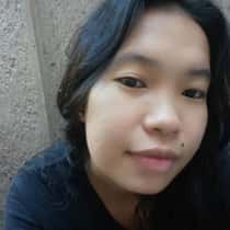 Nylem villades