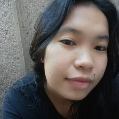 Nylem villades
