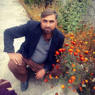 Kaswer Ali