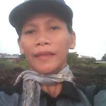 rovena a.aves