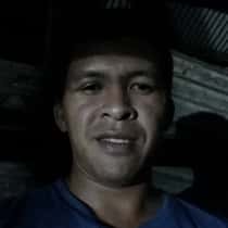 Bej