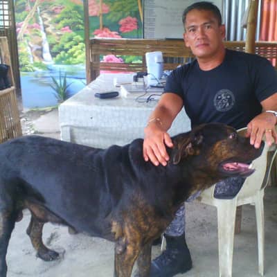 mendozaromeo147