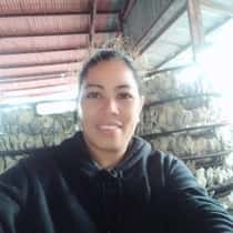 dinadaan