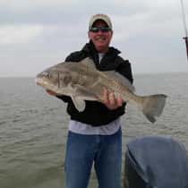 hustonshark21