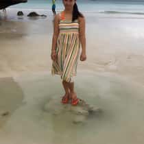 Jolinaan