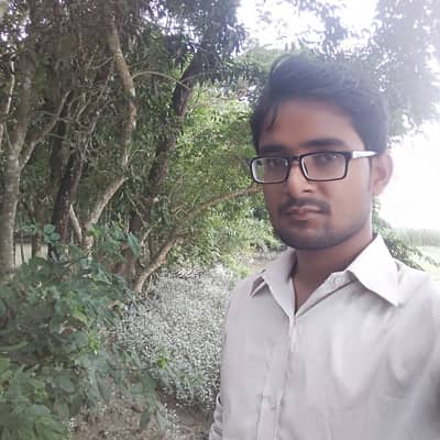 Mr lords