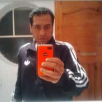 Fareed