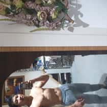 dingdong
