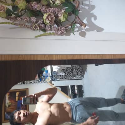 dingdong