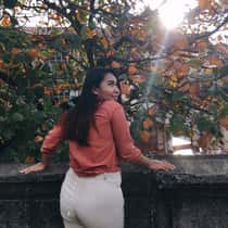ivy