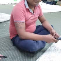 Vikash