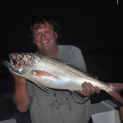 Denis White