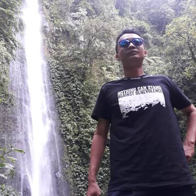 Dian kamikaze
