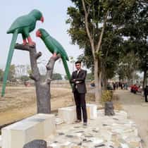 Razu