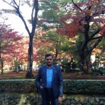 Lotus_kamal