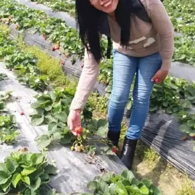 Marlyn Gayapa