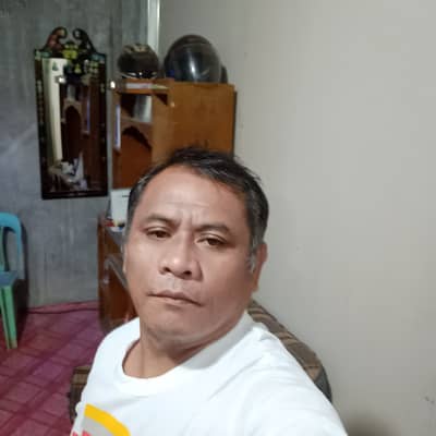 Rolly veter