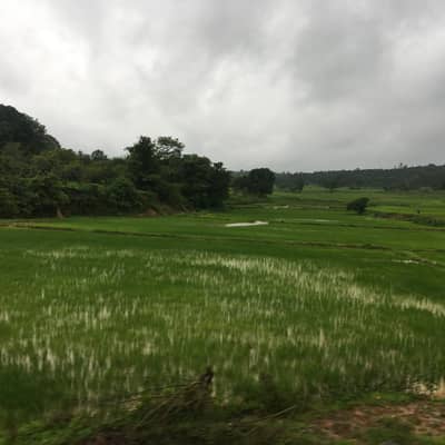 phani